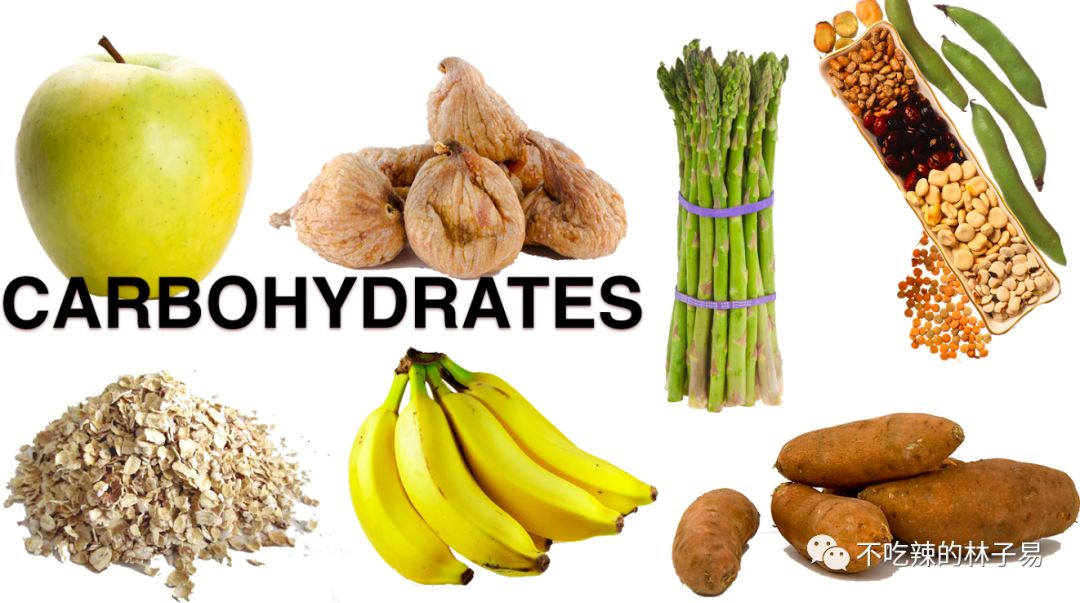 碳水化合物 carbohydrate