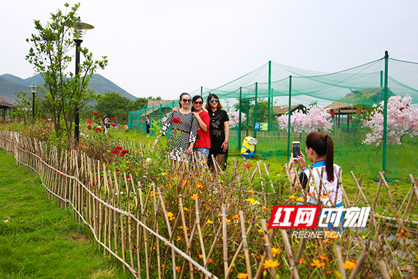 蓝山县雷家岭村人口_无标题