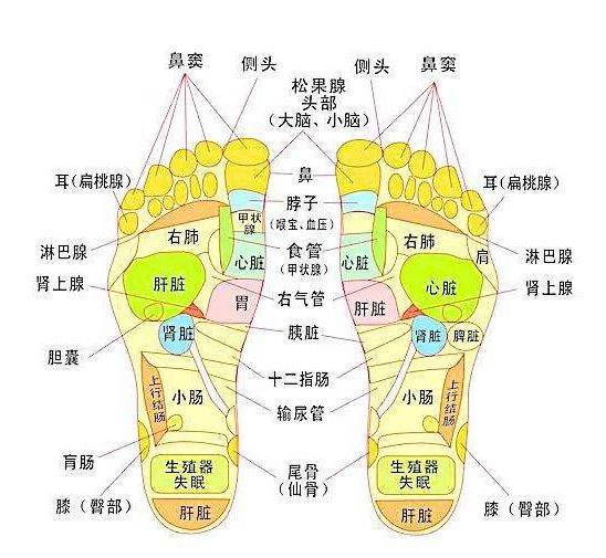 足浴人口_人口普查图片(3)