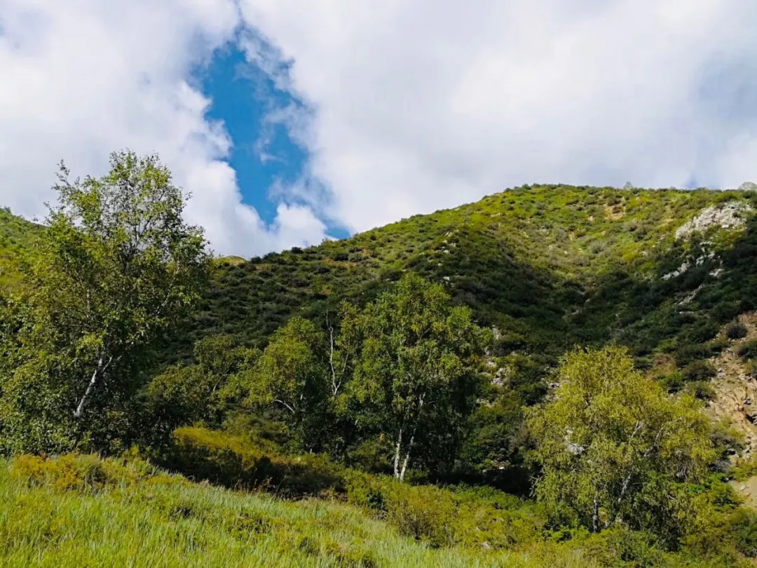 酷似一巨大马鞍,故当地称为"马鞍山,属于九峰山自然保护区的一部分