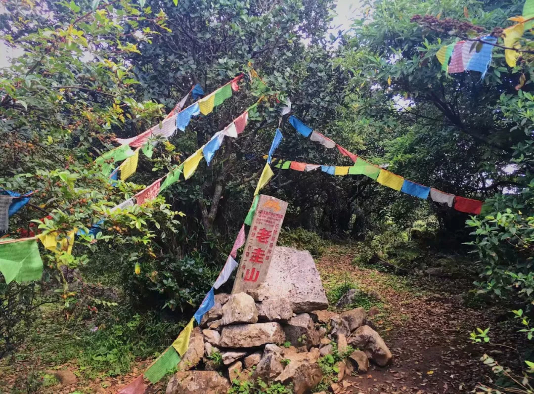 圭山,昆明十峰之一,是石林最高山,位于石林县境内,因雄奇除秀的山峦