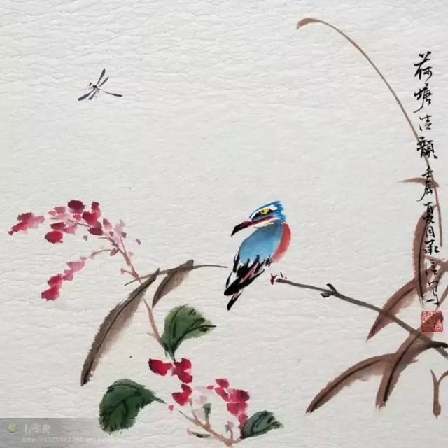 100副花鸟,翠鸟的画法(太全了~)