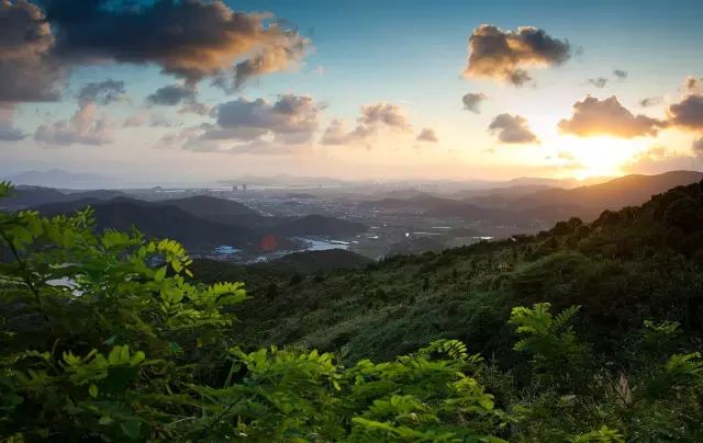 南岙村人口_陆埠镇南雷村十五岙(2)