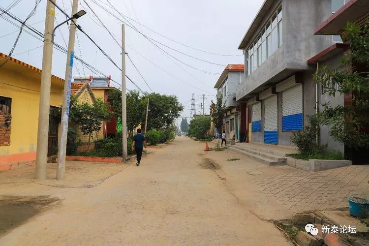 新泰市村落地名志青云街道丁家庄村