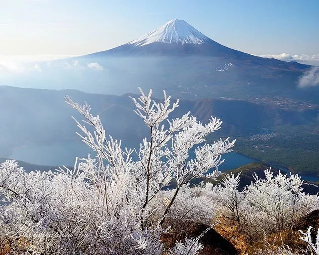 春天的樱花 夏天的向日葵 秋天的红叶 冬天的白雪 ▽ 富士山就像一位