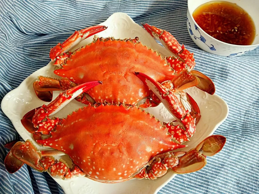 螃蟹挑选指南 | 五个挑选要点，及蒸煮、食用注意事项 - 买错了