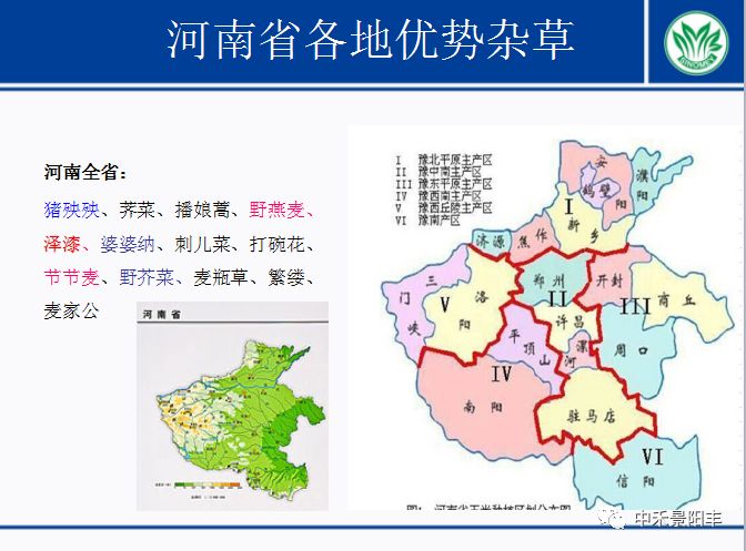 其中黄淮海区域占45%.