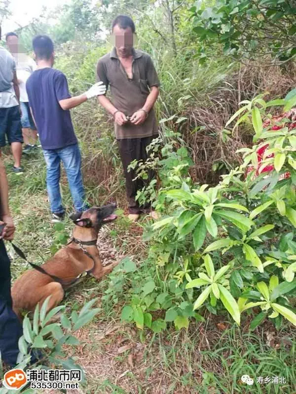 怕哦!广西一村民持棍打死亲弟弟后抛尸荒野,只为了争