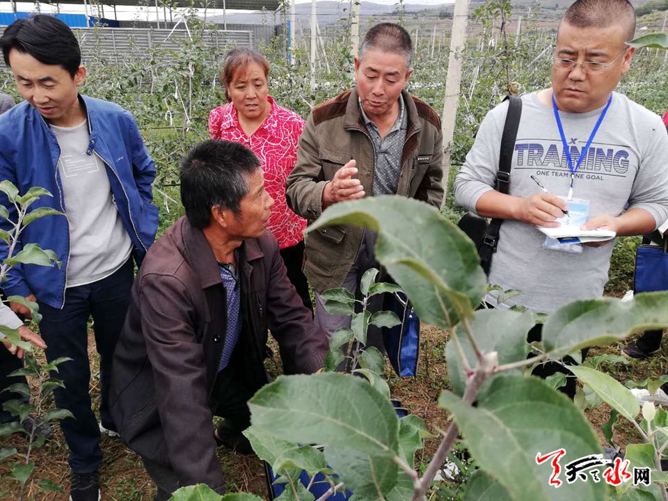 秦州区农广校组织新型职业农民观摩学习培育技术_培训