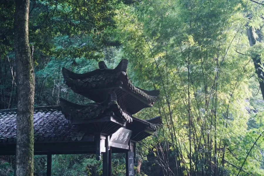 弃高薪, 隐居峨眉, 手作古风月饼 她过出了向往的生活