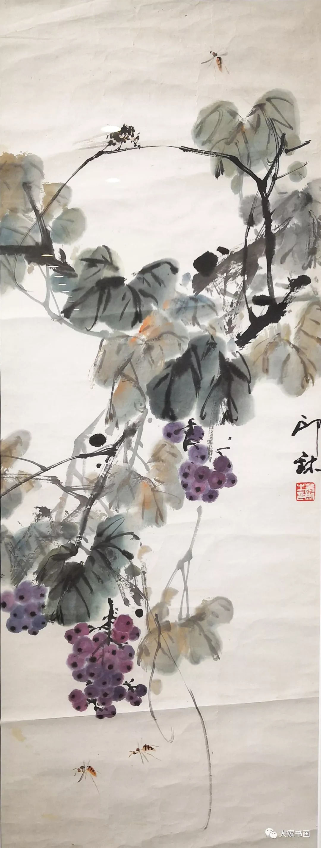 写意花鸟画由著名花鸟画家阮克敏,郭书仁教授执教,阮克敏教授本期以