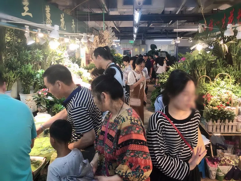 陪伴了杭州人17年的花鸟市场，有黑幕？