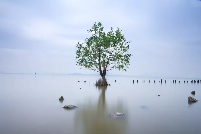 什么撼树的成语_成语故事图片(2)