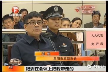 阜阳市原副市长庭审视频曝光当庭表示身败名裂追悔莫及