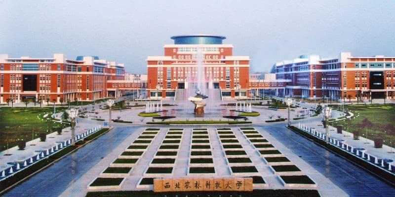 4,西北农林科技大学