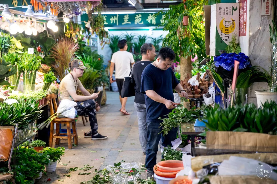 陪伴了杭州人17年的花鸟市场，有黑幕？