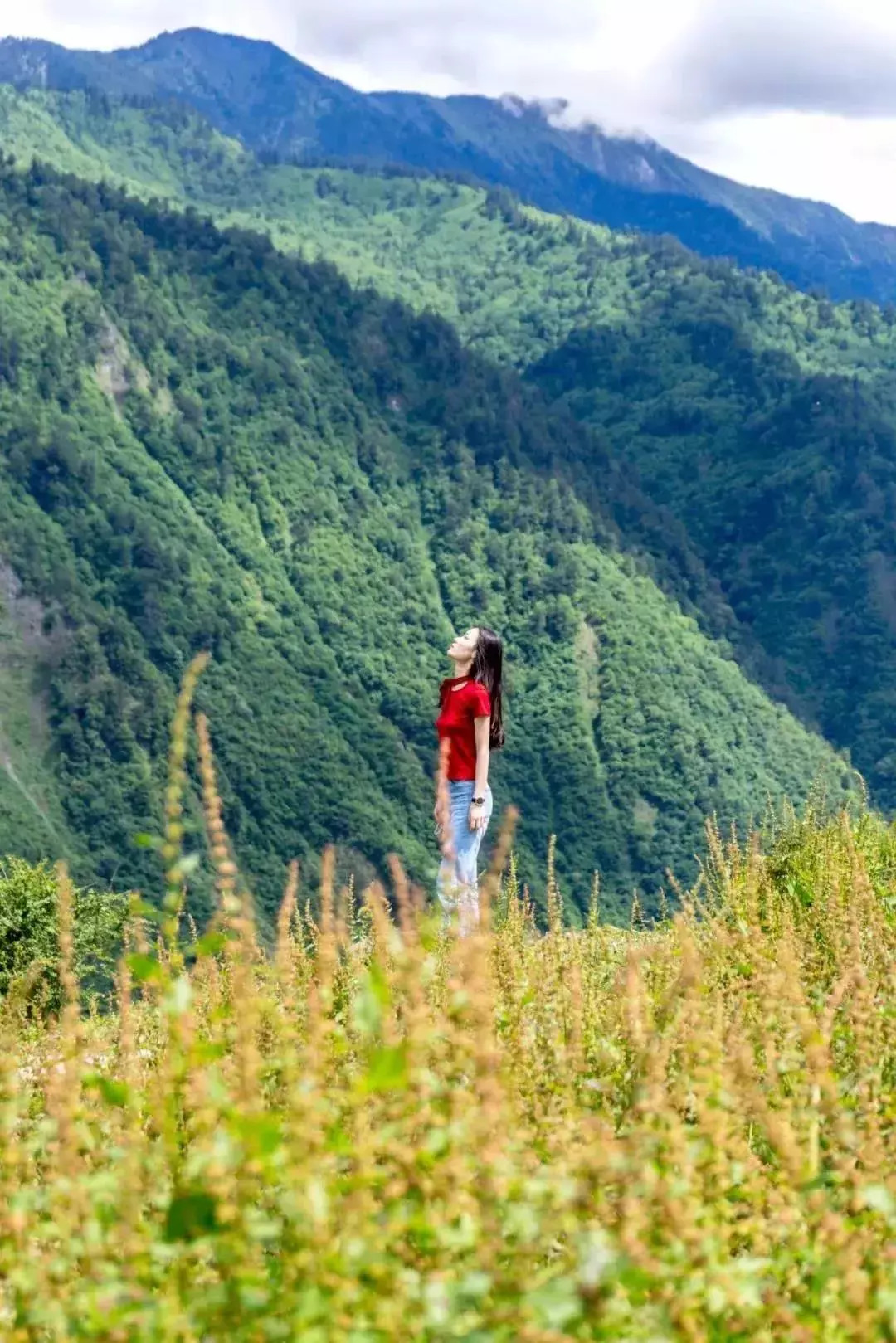 这段上山的旅途稍显艰难,但抵达之后那豁然开朗的高山草原风光,会让你