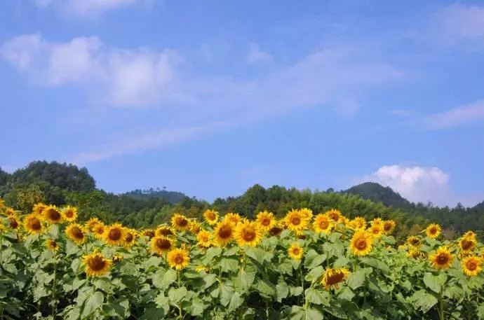 【爱玩客特价】篁岭晒秋·影视村·玻璃桥·蜀源二日游