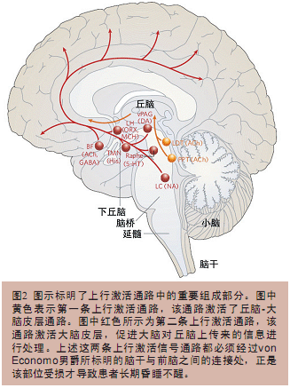 睡觉闻香是什么原理_幸福是什么图片(3)