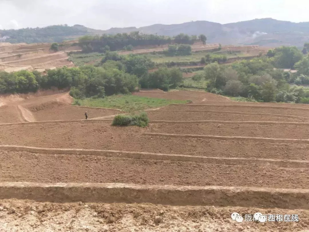 全国坡耕地水土流失综合治理工程西和县2018年度彭寺项目区梯田工程