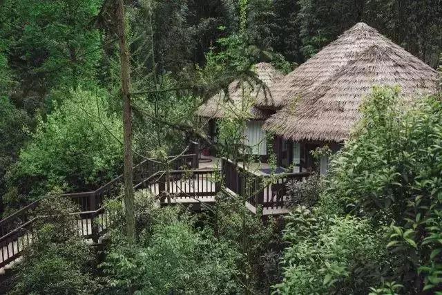 森林里三间木屋带小院的描写