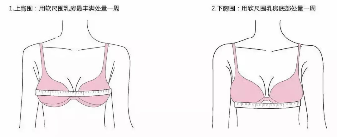 即你的上胸围减去你的下胸围的差额 这取决於你的下胸围的大小啊 对