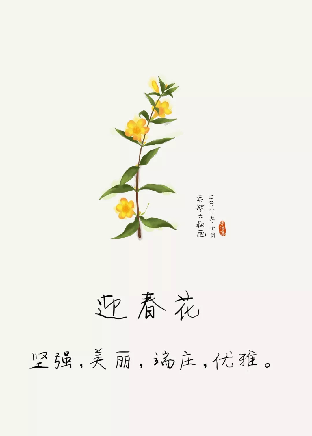 迎春花