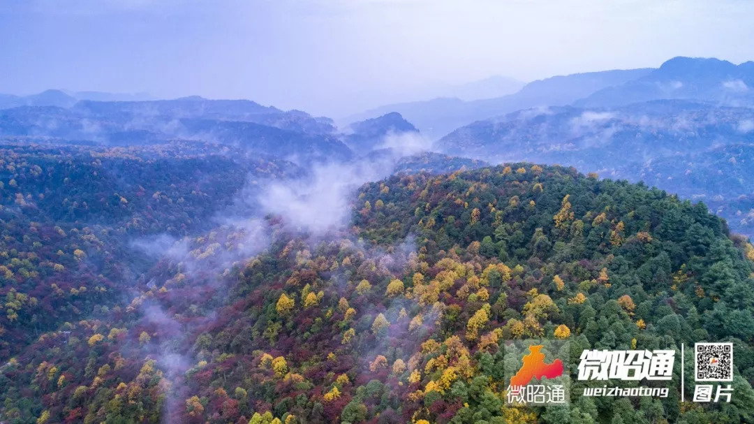 翩翩红叶醉人心!这个秋天,昭通彝良小草坝已经美成了这样