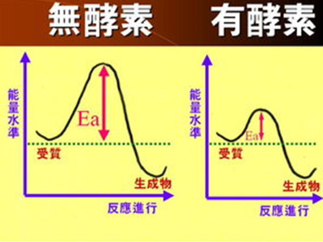 孝素的原理是什么_孝的本义是什么(2)