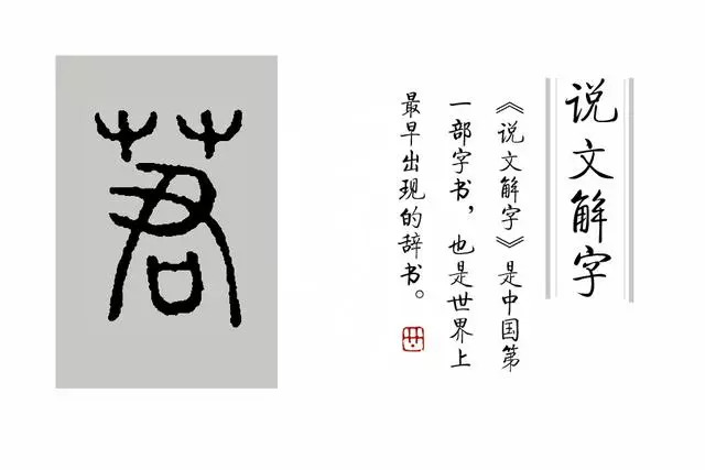 文解字斠(读作"校正"的校)诠》里说:"莙"读为威"者,"君姑"谓之"威姑"