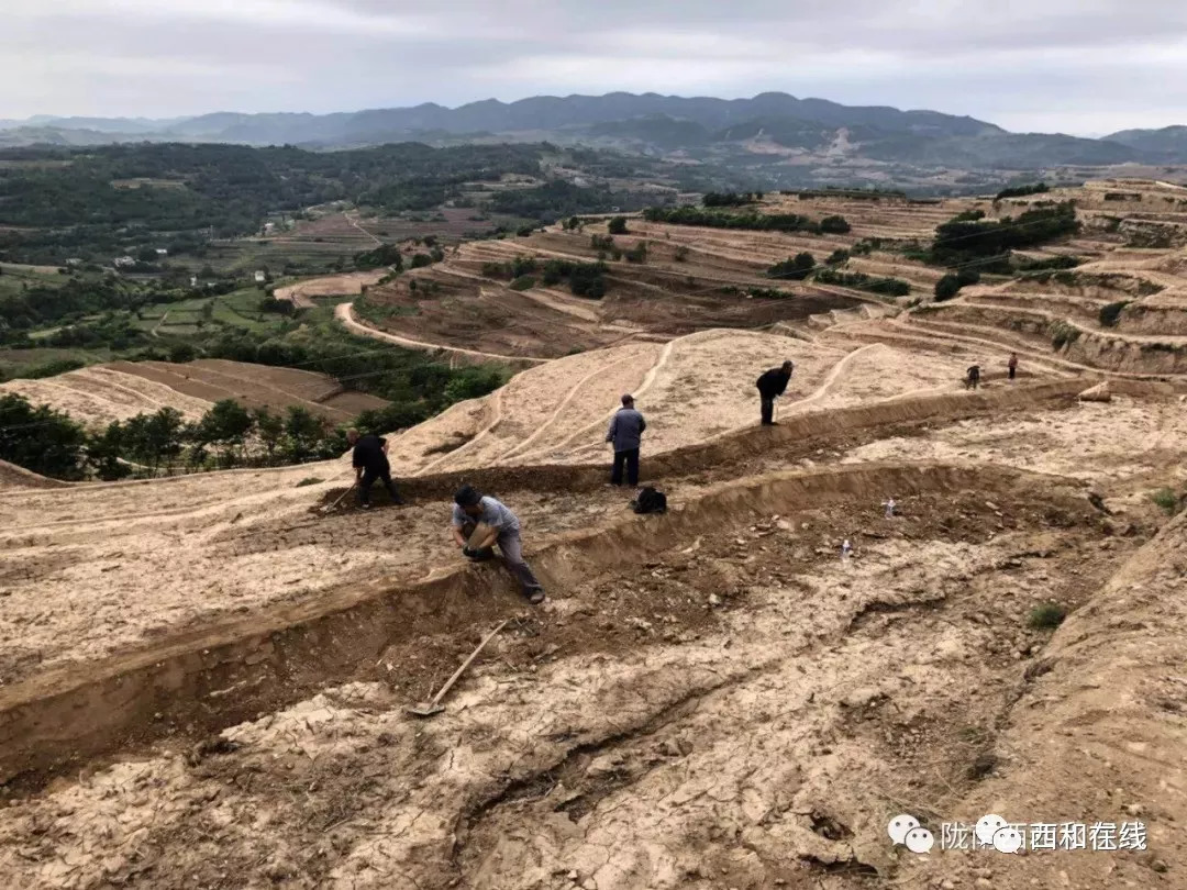 全国坡耕地水土流失综合治理工程西和县2018年度彭寺项目区梯田工程