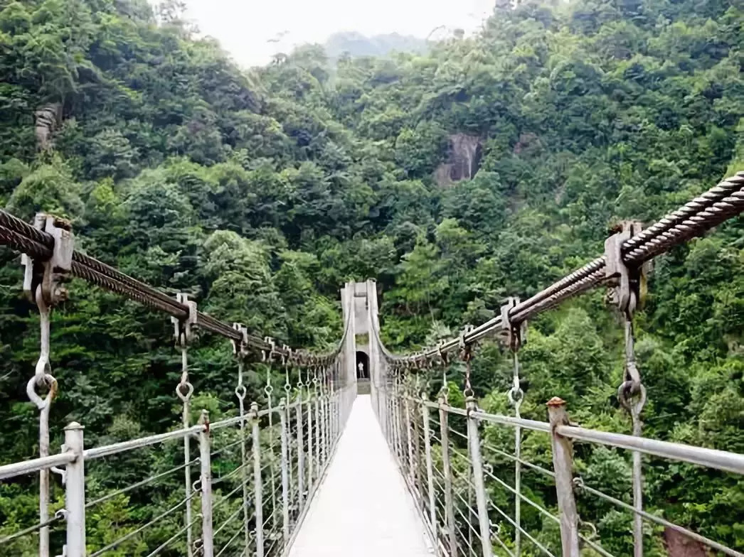 刷遍抖音的网红瀑布!畲家长宴,森林洗肺.