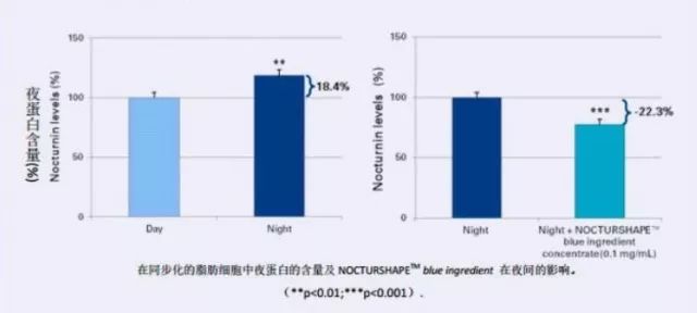 蛋白质含量测定的原理是什么意思_蛋白质凝胶是什么(3)