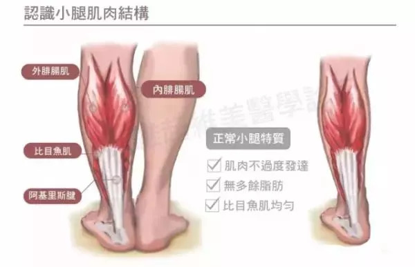 没有跟腱怎么穿搭_跟腱长度怎么量图解(3)