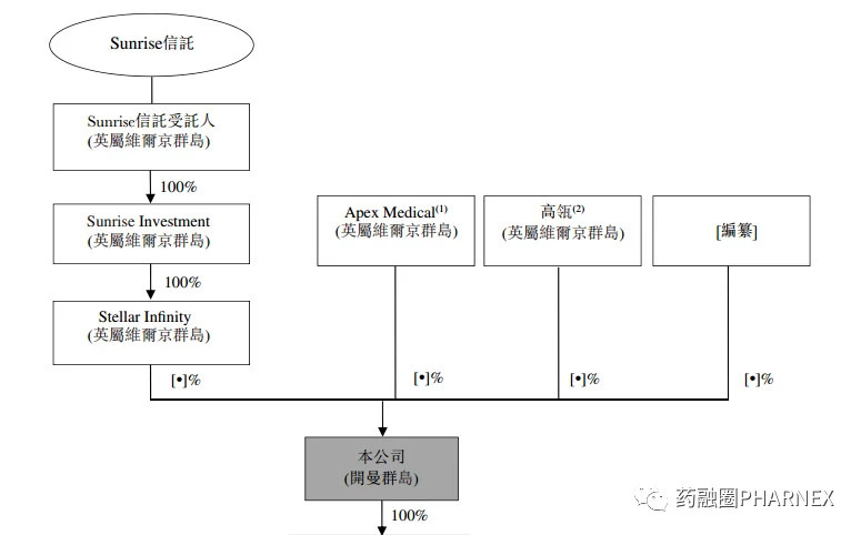 股权架构,高瓴资本身处其中.