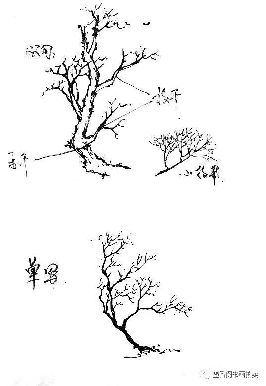 练习好树木的画法会对风景写生有很大的提高 树木主要分为乔木与灌木