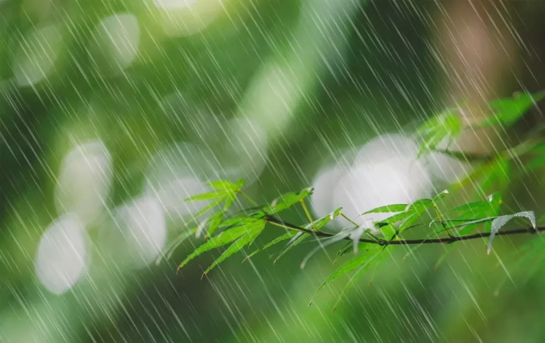 十首听雨诗词:雨声淅沥,你在思念谁