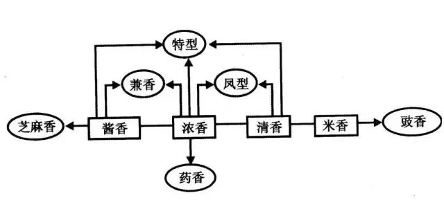 下图表格)中国白酒历经发展,如今有了十二种香型(也有十三种香型之说)