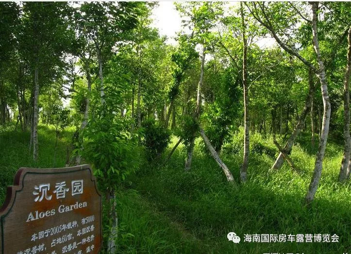 地点:海南省屯昌县屯城镇加利坡村附近(中线高速公路旁)简介:走近这里