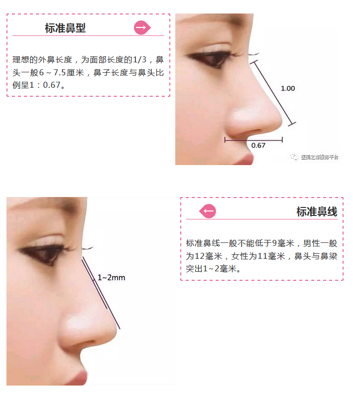 好看的鼻子要符合6个美学维度 长度, 宽度, 高度, 鼻头大小, 鼻孔形状