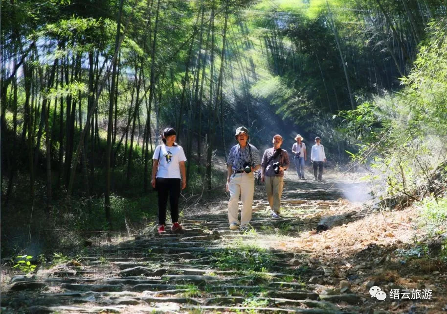 栝苍古道始拓于东汉至南朝年间,自缙云桃花岭起,绵延横亘20余公里