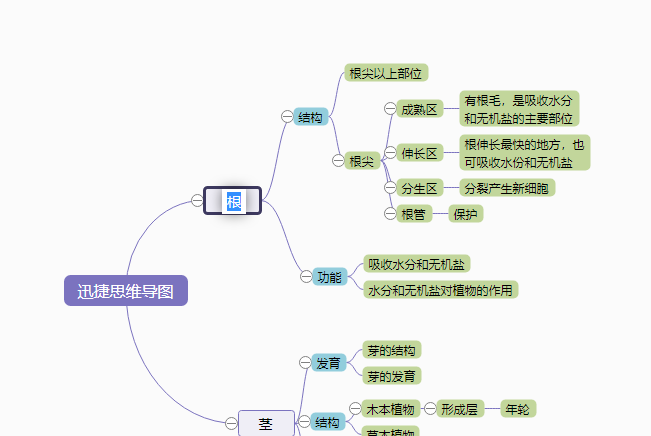 植物根茎结构思维导图模板分享