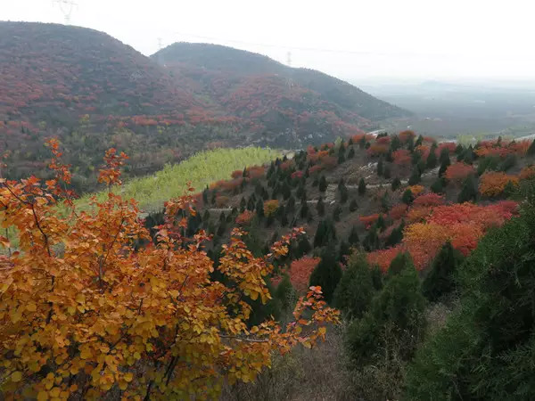 秋日走上浅山步道 ,欣赏不一样的美景!_龙湾屯