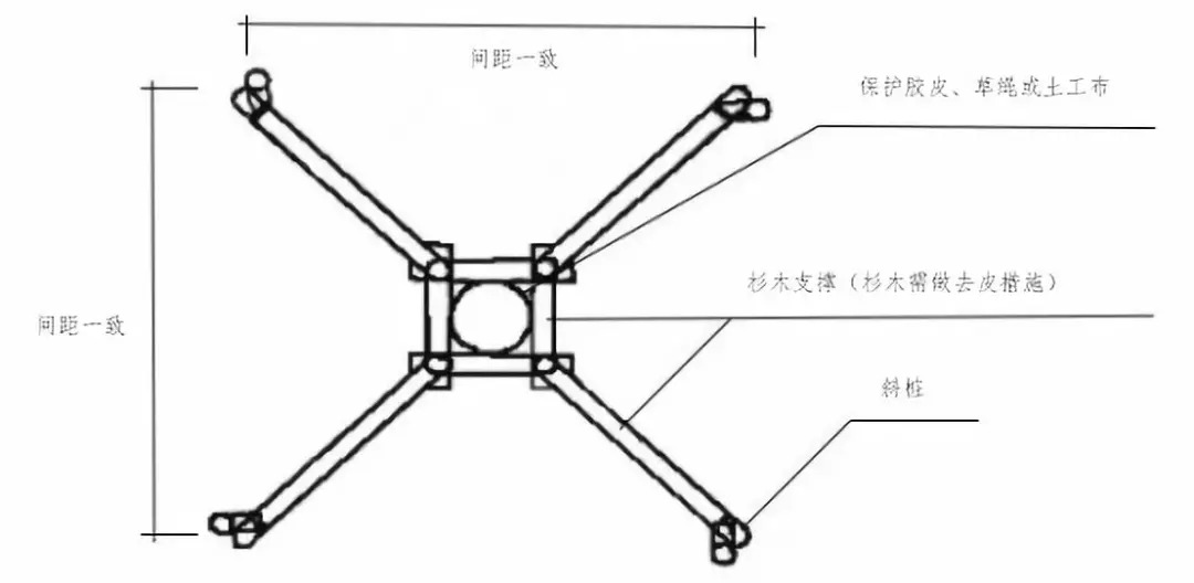 特大规格的苗木,结合现场实际情况,可采用四脚支撑,钢绳和钢管铆焊等