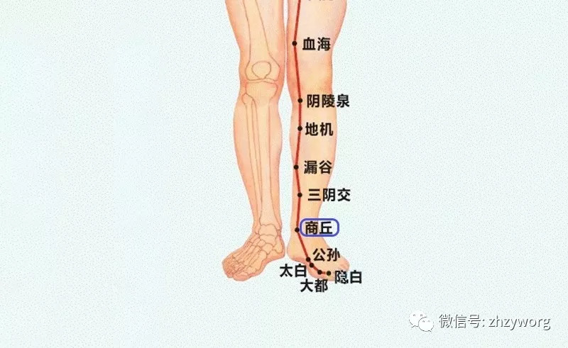 3,人体自有的消炎大药:商丘穴