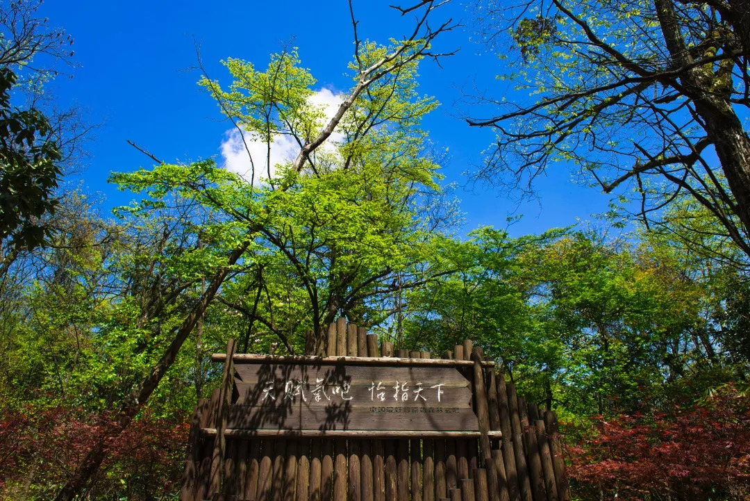 为进一步塑造坪坝营景区的新形象,确立坪坝营景区旅游