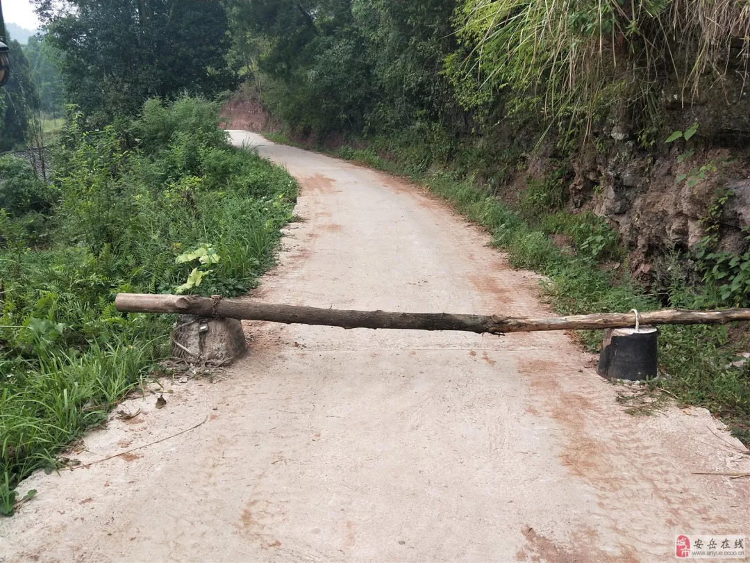 【讨论】乡村自费修建公路可以强制收取过路费吗?_安岳县