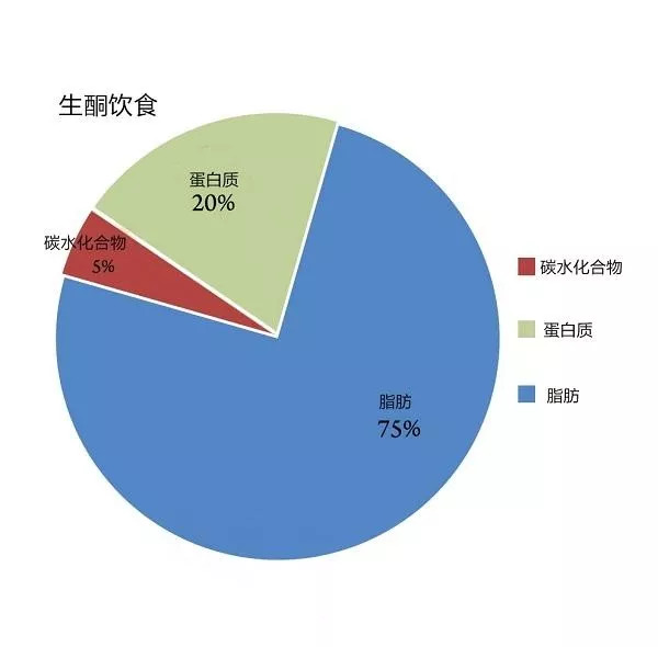 关于生酮饮食你想知道的都在这里