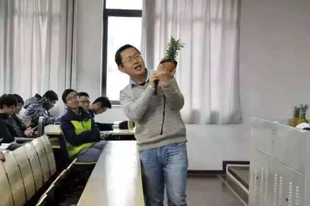 周麒短剧，探索现代娱乐的魅力