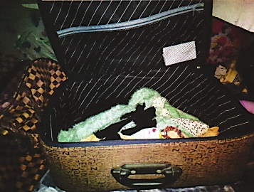 刘某盗走的女式黑丝袜藏在家中行李箱内(检察院供图)